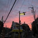 서초대로30길 33 | 2025.06 - 이수 번앤미트 / 조양마트 / 고망고 건대 / 수원 666버거 본점 / 청와옥 사당점 / 미분당...