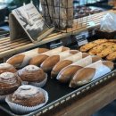 카페꽁냥 이미지