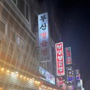 부산양곱창 | [부산/양곱창] 자갈치 시장 맛집 양곱창 골목 부산양곱창 내돈내산 솔직후기