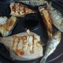 바다와푸른솔 이미지