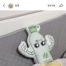 가인건재 이미지
