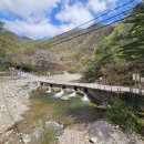 가평카라반캠핑농원 이미지