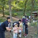 배꼽 유아숲체험원 Daum카페