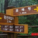 곰배령설피마을 이미지