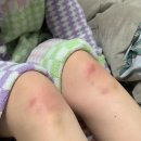 무주 스키장 주중,주말/공휴일 초보 코스 이용 후기 (만선 하우스/설천 하우스 비교) 무주 스키장 먹거리