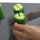 오이세상