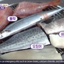 고향생선구이 이미지