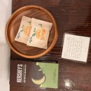 함덕 위드 자쿠지 이미지