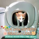 샤오미 캣링크 스마트고양이화장실 샤오바이 통세척 사용후기(샤오미펫킷과 비교해 보기)