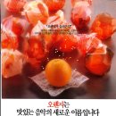 오렌지광고기획 - 안성시 중앙로 463 | 오렌지광고기획