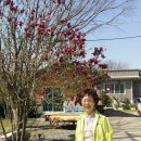수도산식당 Daum카페