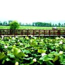 사파동279 이미지