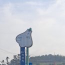 22.7.17. (태안)화동초등학교 ~ (서산)해성리마을회관 22km 이미지