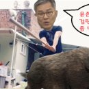 발악모터스