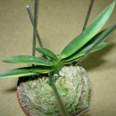 황호농장 이미지