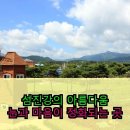 섬진강 침실습지 | 곡성 여행? 진짜 핵꿀팁 대방출! 섬진강 기차마을부터 천문대까지!