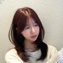 고흐헤어