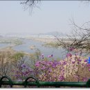 명품나루터 이미지