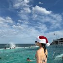 뉴팔로우호텔 | 호주 시드니 ep8 : 맨리비치 / 록스마켓 / 쿠지비치 / 브론테비치 / 본다이비치 / 아이스버그