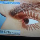 영광청소 이미지