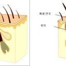 다채움피부과의원 이미지
