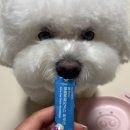 모모맘하우스 이미지