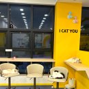 고양이카페 아이캣유 이미지