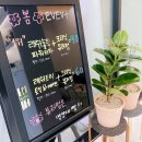 릴리뷰티 네이버블로그