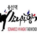 용인대 한별 태권도장 이미지