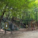 노원골유아숲 이미지