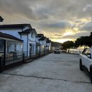 옆집강아지 | [여행] 여수 강아지 펜션 "여수 댕댕이 애견 펜션 골드" 방문후기