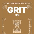 모션그릿 이미지