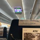 대건유치원 | 2편- 부산역 돼지국밥, 보수동책방골목, 일몰명소 다대포해수욕장(포토존 갈대밭)그리고 깡통 야시장 후기