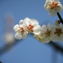 두륜산농장 이미지