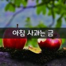 사과의 8가지 놀라운 효능 이미지