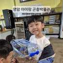 영암매점 | 영암곤충 박물관, 아이와 장수풍뎅이 분양 후기