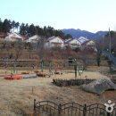 양지펜션 티스토리