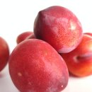 청용농장 이미지