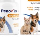 더케어벳 이미지