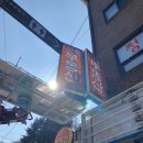 펫존&견생컷 이미지