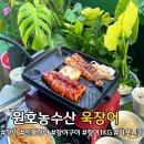 민물장어 자포니카장어 원호농수산 욱장어 1KG