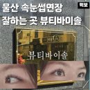 두  메 | 울산 led 속눈썹 뷰티바이솔 속눈썹연장 잘하는 곳 추천 애니메연장 가격 후기