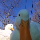 청춘횟집 이미지