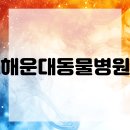 행복한고양이동물병원