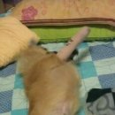 금비동물병원 이미지