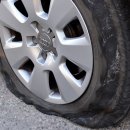 아이언게러지 이미지