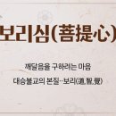 보리심 이미지