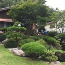 제추골 황토펜션 이미지