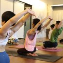 테라피 요가 이미지