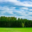 현충원로(유성-19) 이미지